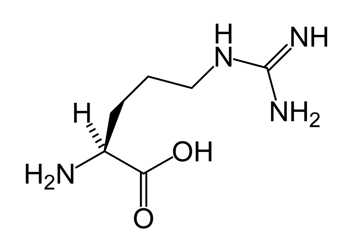 L-arginine