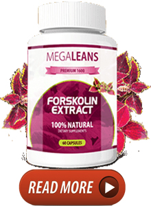 Mega Leans Forskolin