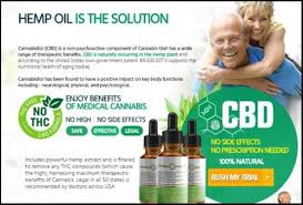 cbd oil california company