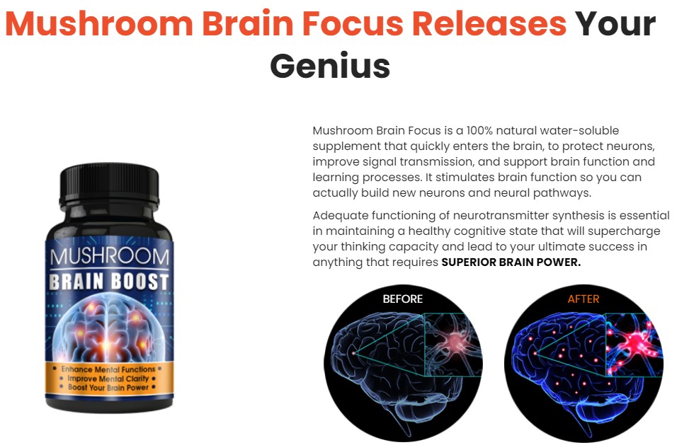 Mushroom Brain Boost